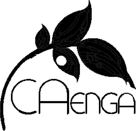 Apoiadores