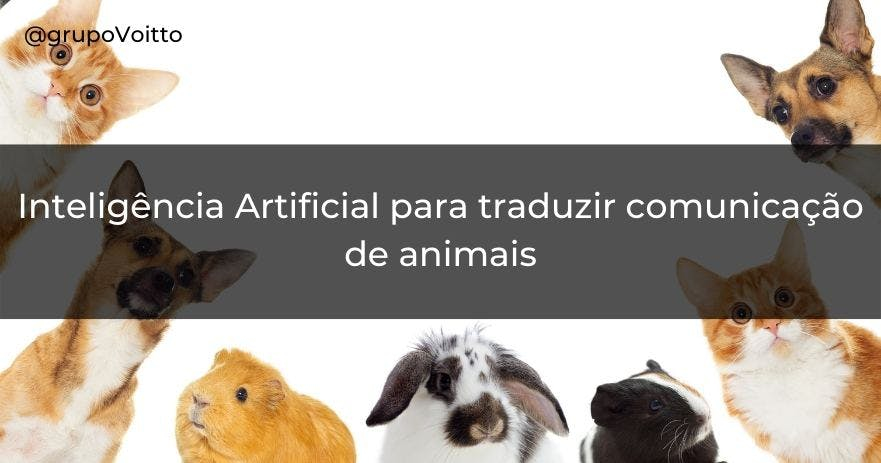 Inteligência Artificial para traduzir comunicação de animais